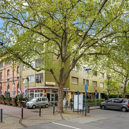 Urban Jungle Offenbach am Main